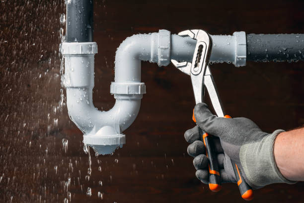 Professional Leak Detection technician working in Palisades, NY